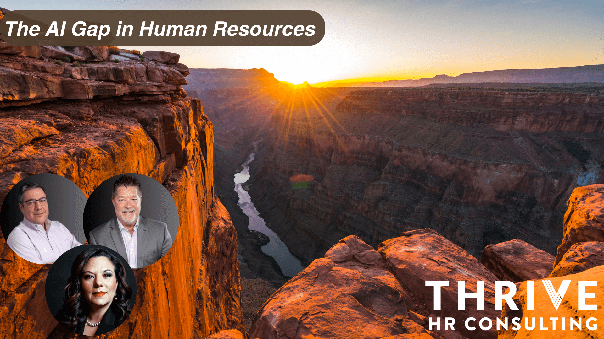 The AI Gap in HR